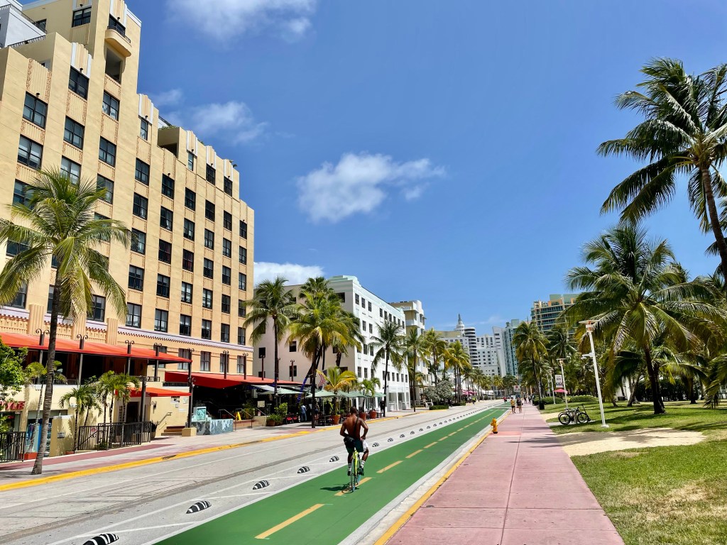 Słońce, palmy, bagna i aligatory, czyli witamy na&nbsp;Florydzie